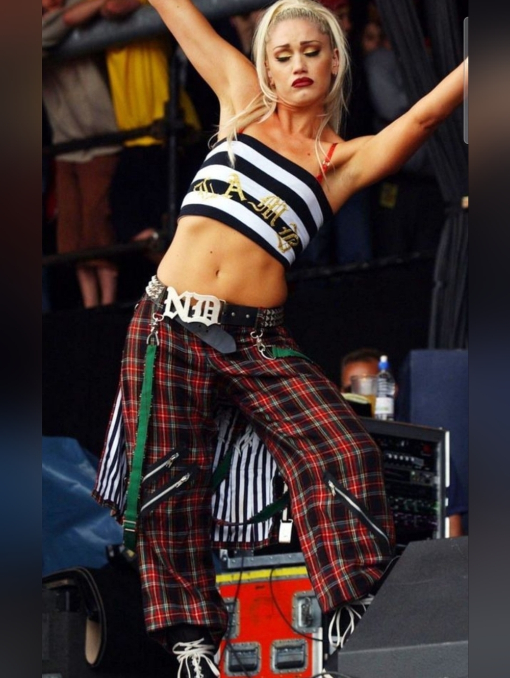 No Doubt - Gwen Stefani - PTCL Plaid Pants & Black White Tube Top - Picture 7 of 12